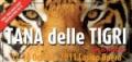 Tana delle Tigri €150,000 GTD - day 1 - foto&chips